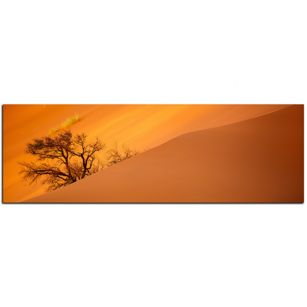 Obraz na plátně - Červené písečné duny - panoráma